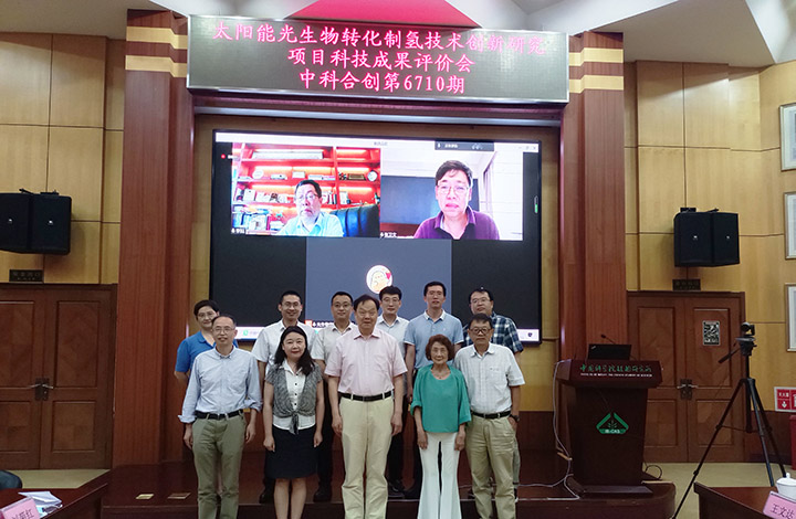 太阳能微藻产氢创新研究 anli_20210727102352_388.jpg
